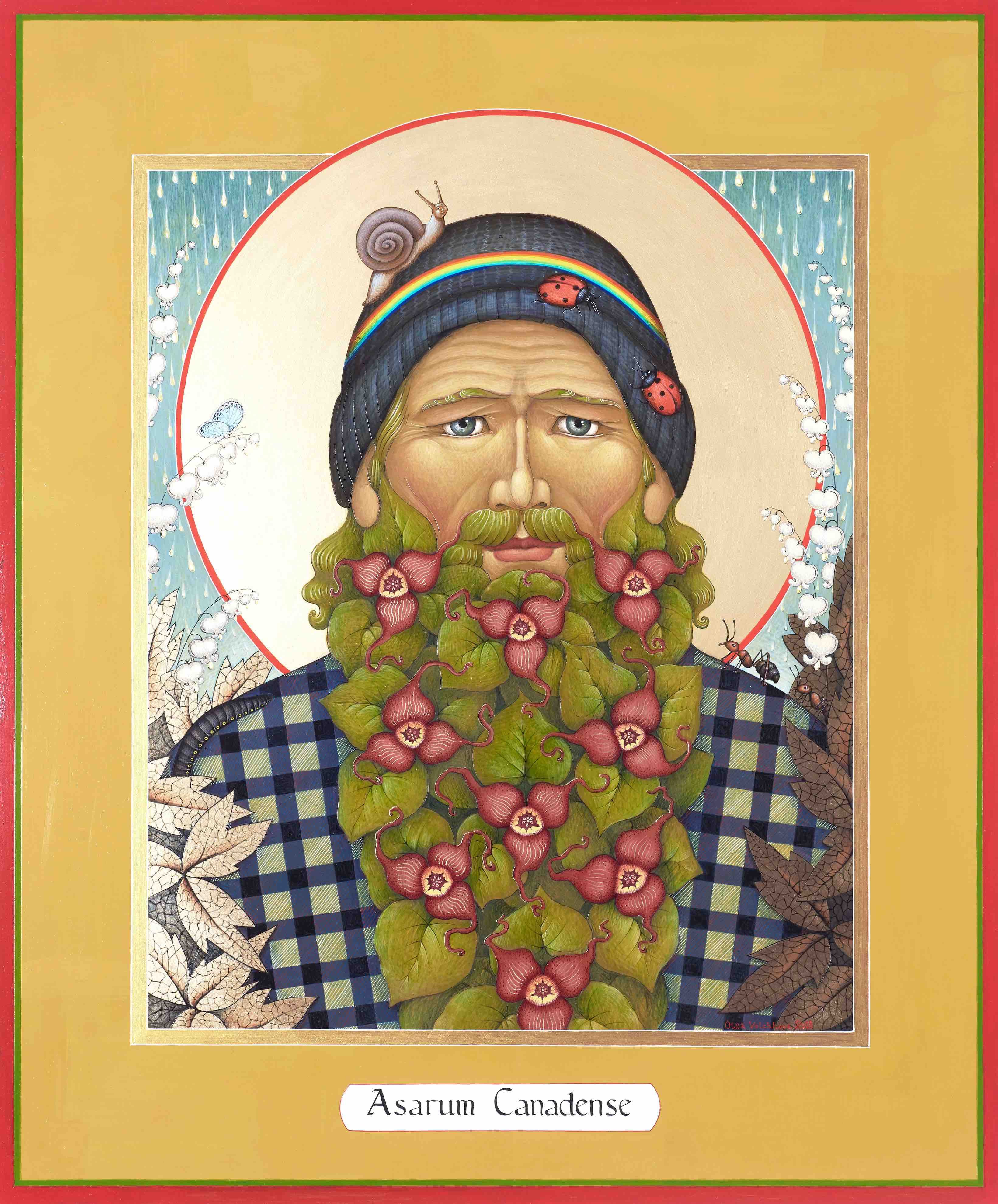 St. Wild Ginger